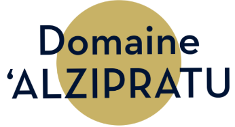 alzipratu