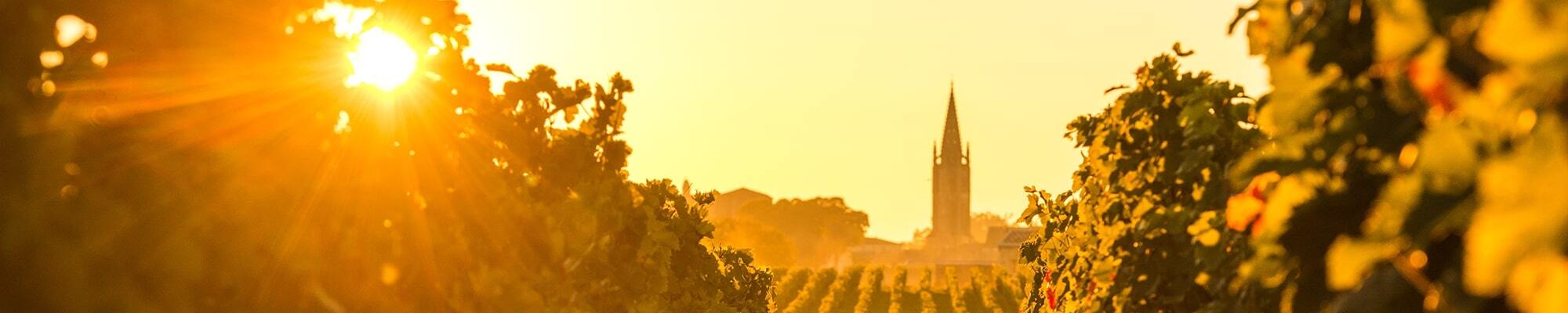 bordeaux_banner