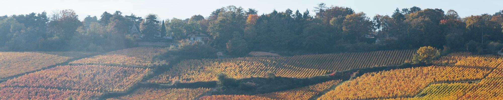 bourgogne_banner
