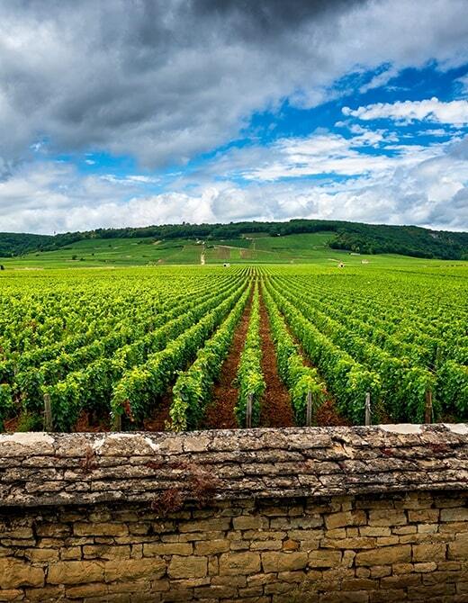 bourgogne_portrait