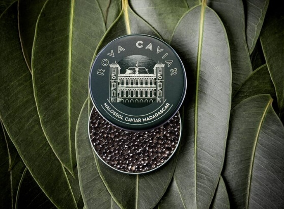 caviar