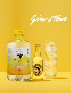 gin et tonic