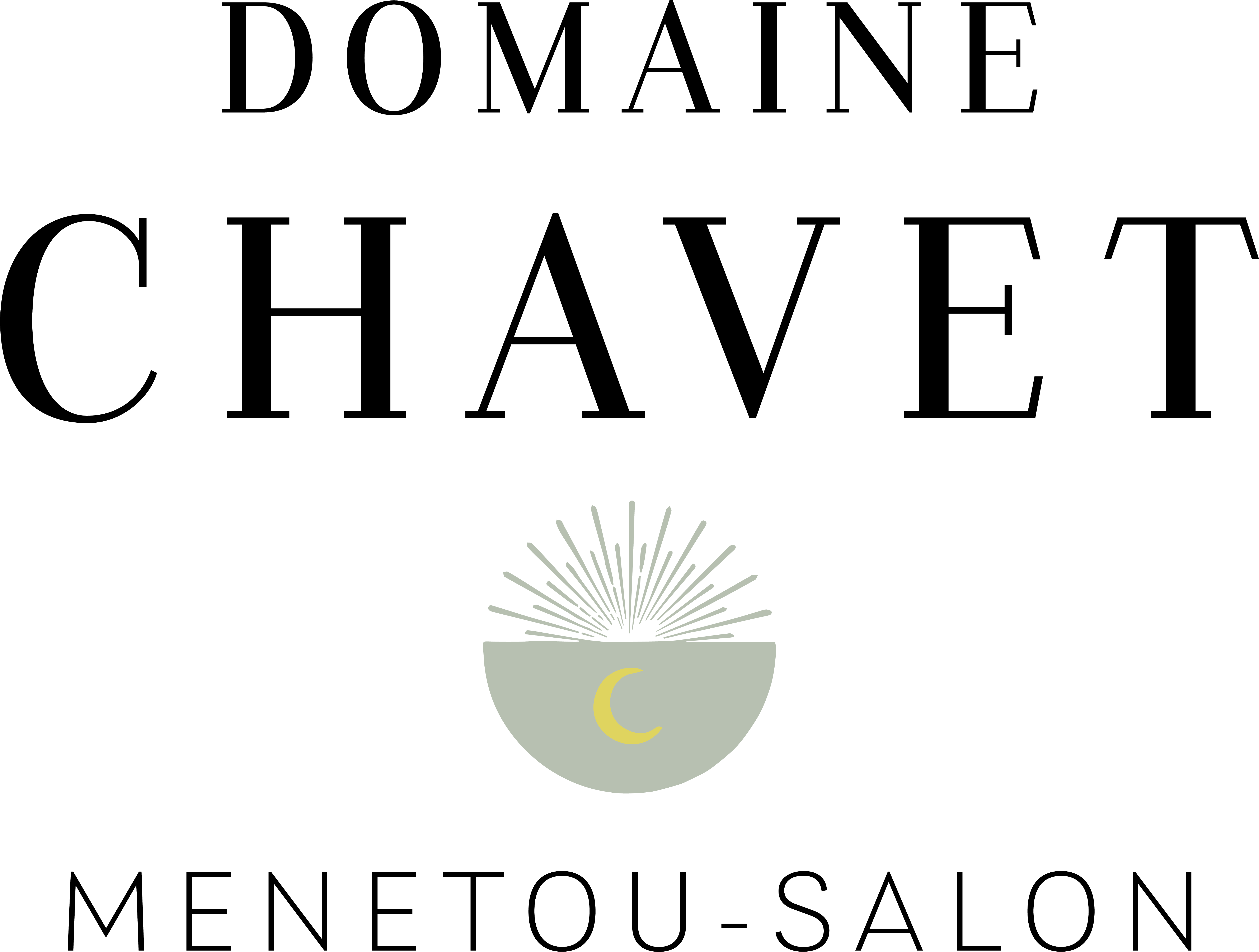 Logo CHAVET PNG