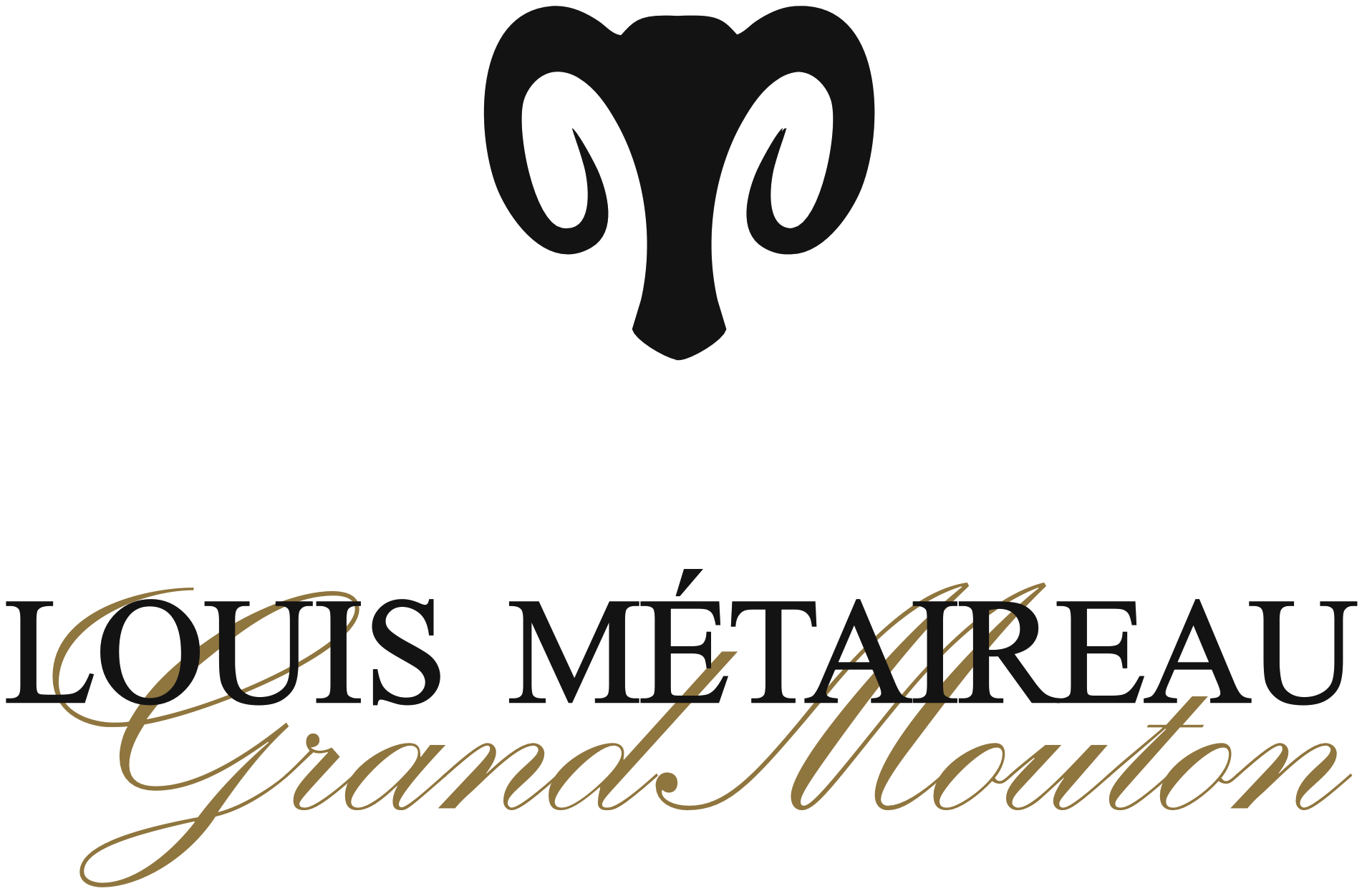Logo METAIREAU