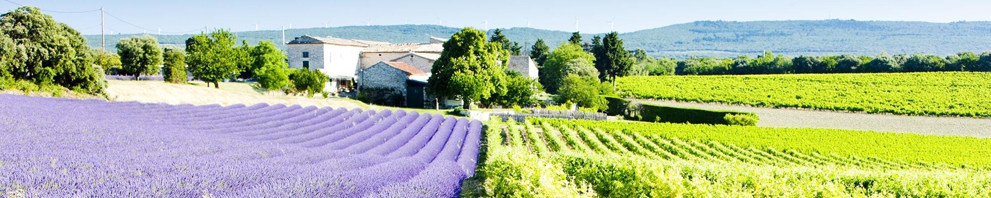 provence_banner