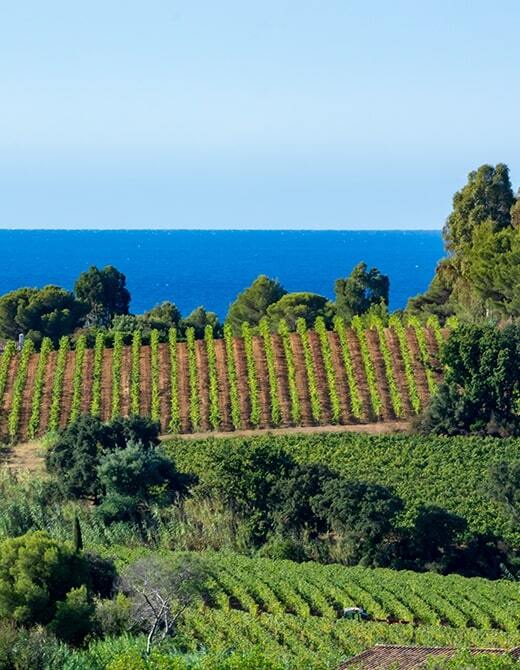 provence_portrait