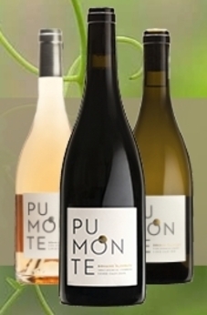 pumonte redimensionné