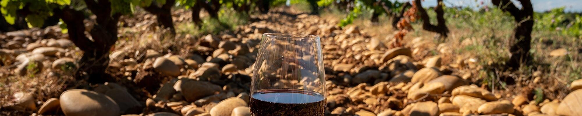 rhone_banner