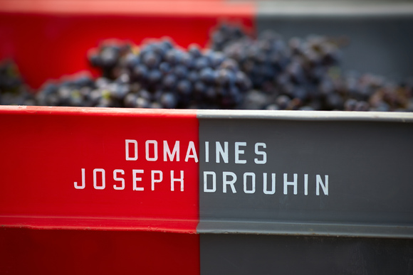 04 - Copyright © Joseph Drouhin - Caisse de vendanges